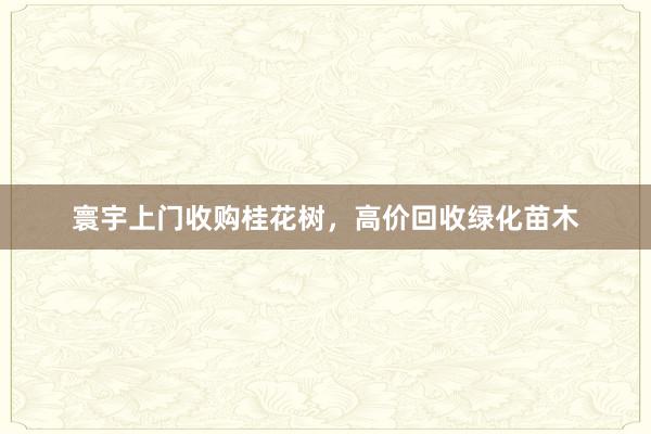 寰宇上门收购桂花树，高价回收绿化苗木