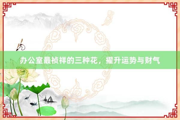 办公室最祯祥的三种花,擢升运势与财气