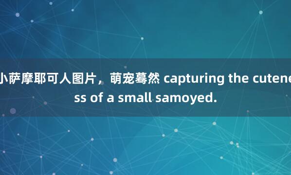 小萨摩耶可人图片,萌宠蓦然 capturing the cuteness of a small samoyed.