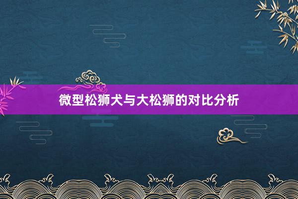 微型松狮犬与大松狮的对比分析
