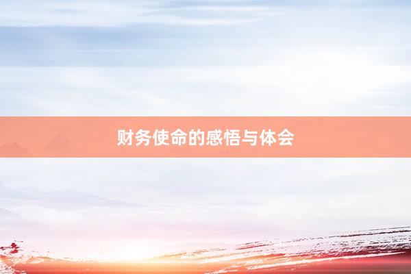 财务使命的感悟与体会