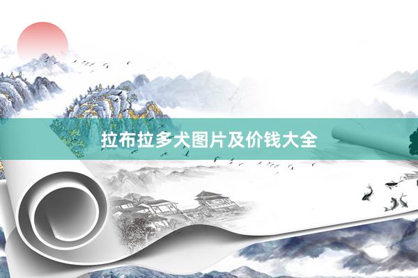 拉布拉多犬图片及价钱大全